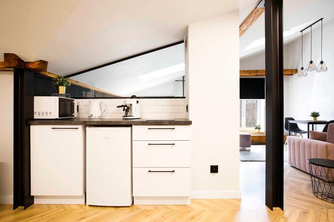 Apartment Beautiful Studio With Air Conditioning, Cracow Old Town